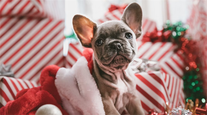 photo-1513639725746-c5d3e861f32a copy.png